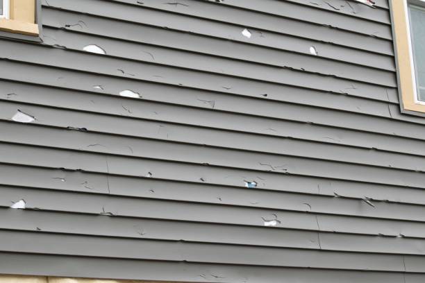 Best Construction Debris Removal  in Foster Brook, PA